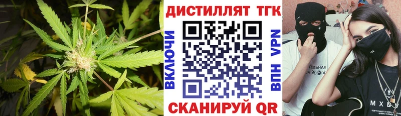Дистиллят ТГК Wax  Купить где  Петрозаводск 