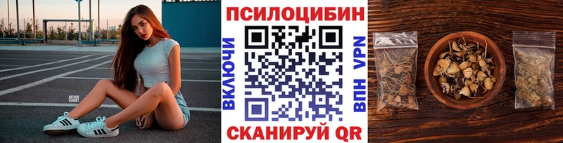Галлюциногенные грибы Psilocybe  Купить где  Петрозаводск 