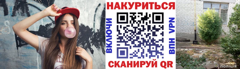 Конопля план  Купить  Петрозаводск 